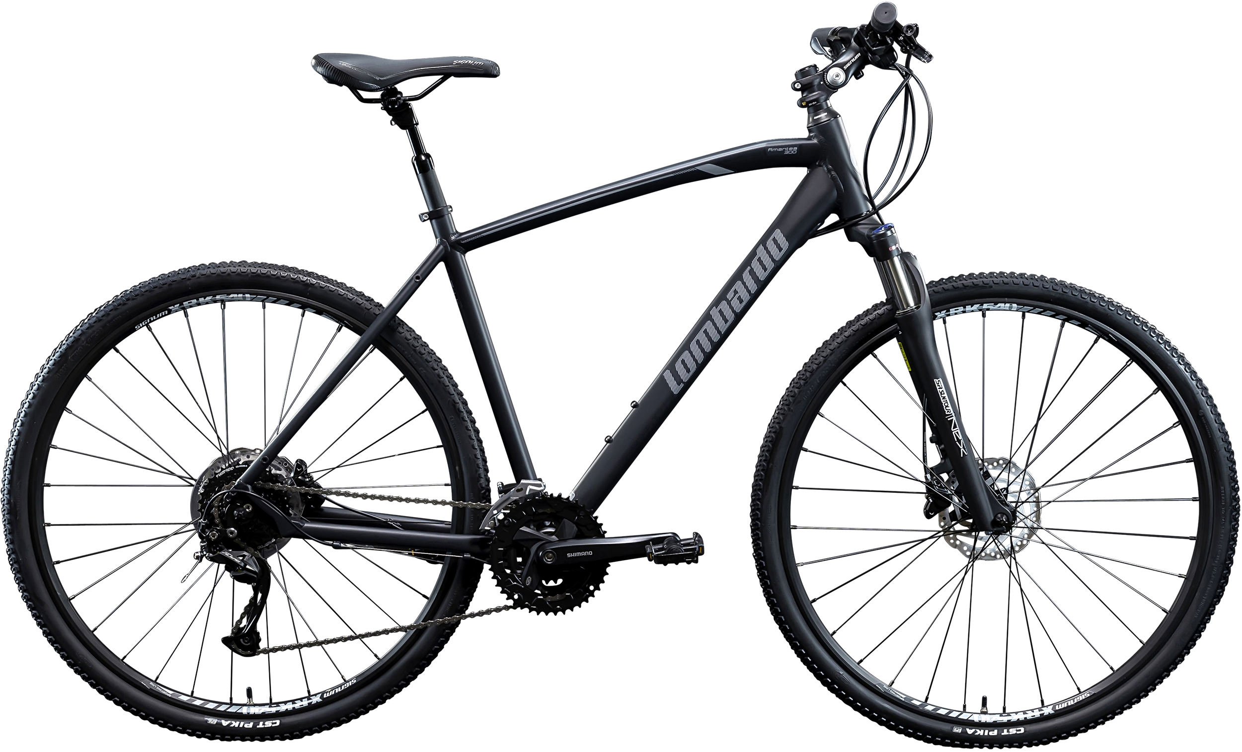BICI AMANTEA _300 - LOMBARDO BIKES - immagine 2