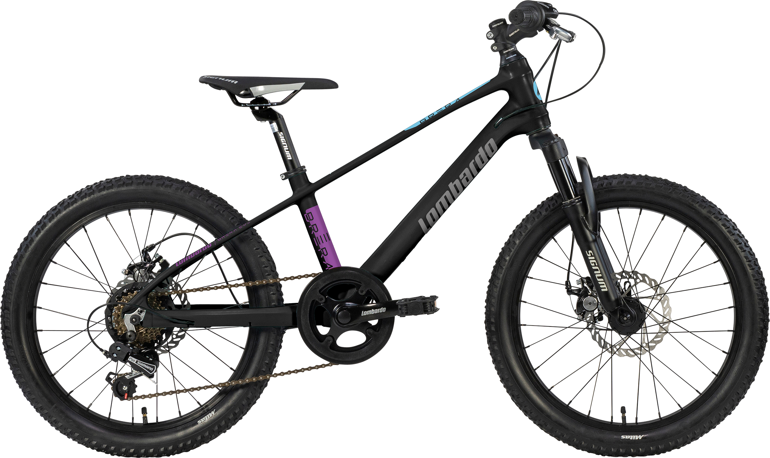BICI BRERA 7 SPEED 20 - LOMBARDO BIKES - immagine 2
